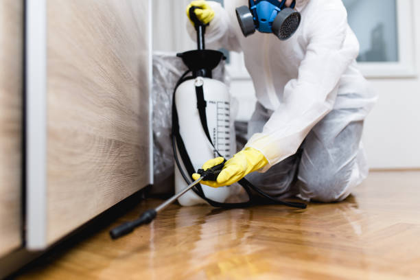 Best Mosquito Control Services  in Lakewood, CO