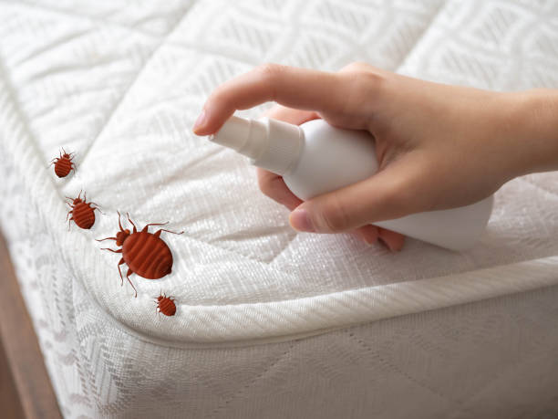 Pest Control for Restaurants in Lakewood, CO